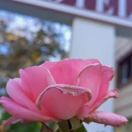 Aparthotel My Rezidans 4*