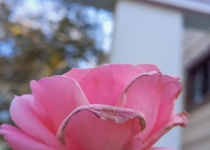 Aparthotel My Rezidans 4*